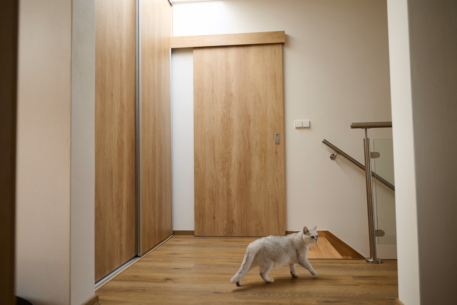 Dveře a prvky - moderní dveře