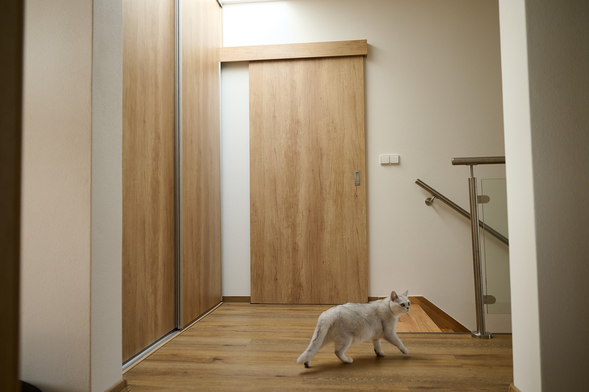 Dveře a prvky - moderní dveře